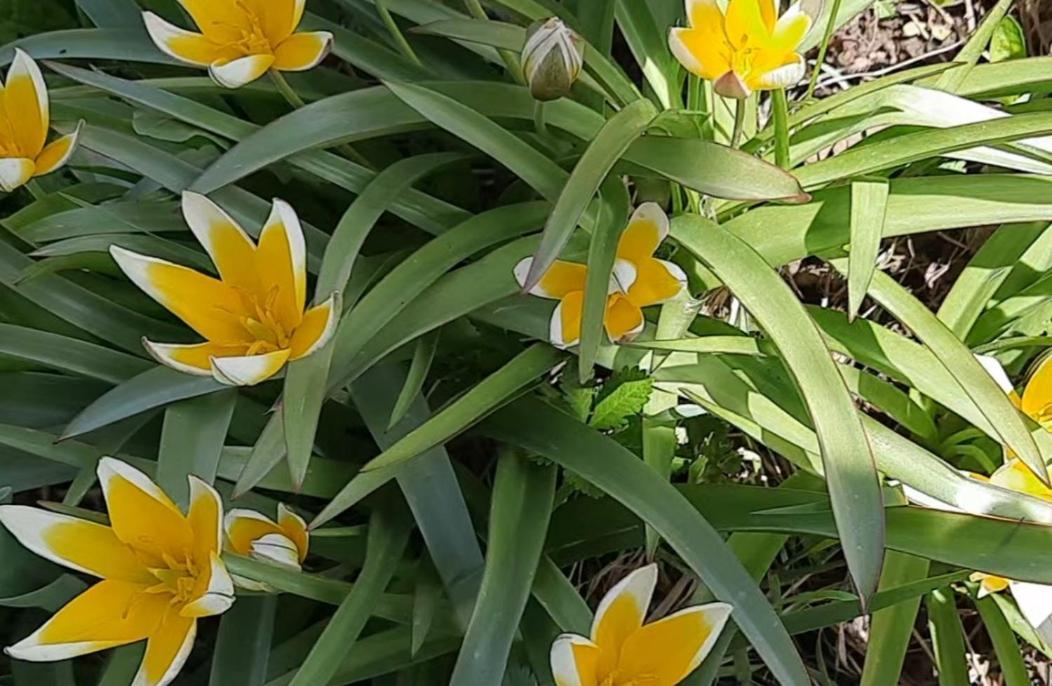 Apartman Bella Vita Kolaşin Dış mekan fotoğraf